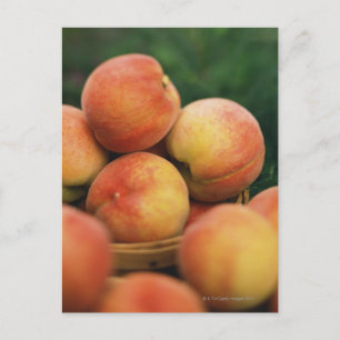 Carte Postale Fresh peaches