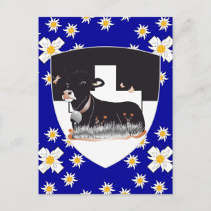 Carte Postale Fribourg / Fribourg Schweiz Suisse Postkarte