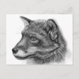 Carte Postale Frida, The Wee Scottish Fox !