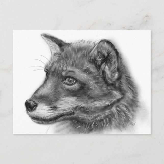 Carte Postale Frida, The Wee Scottish Fox ! (Devant)
