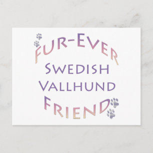 Carte Postale Friend suédois Vallhund Furever