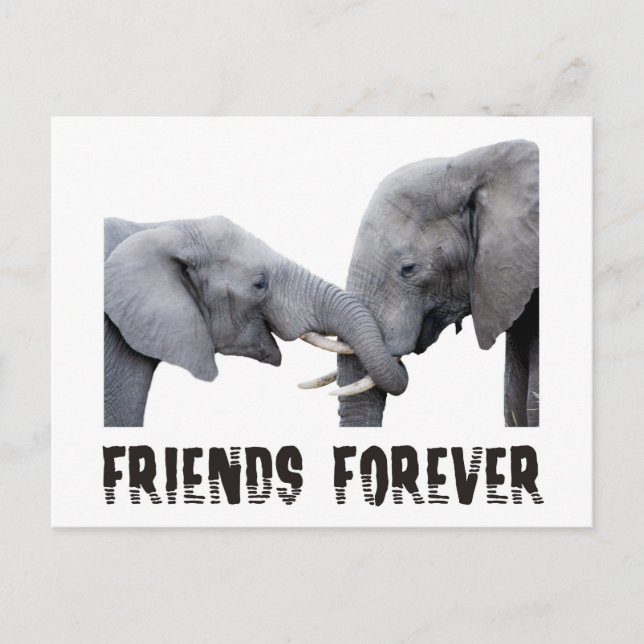 Carte Postale Friends Forever Elephants embrasser / embrasser (Devant)