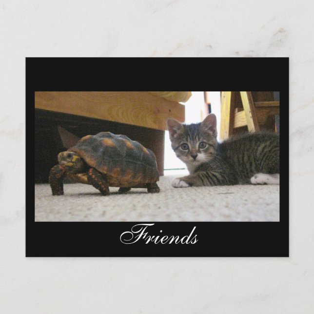 Carte Postale Friends Postcard (Devant)