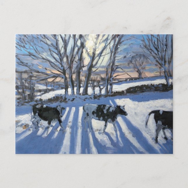 Carte Postale Friesian Cows 2009 (Devant)