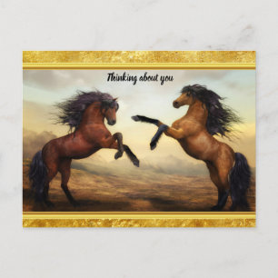 Carte Postale Friesian Draft Horses in a rocky mountain valley