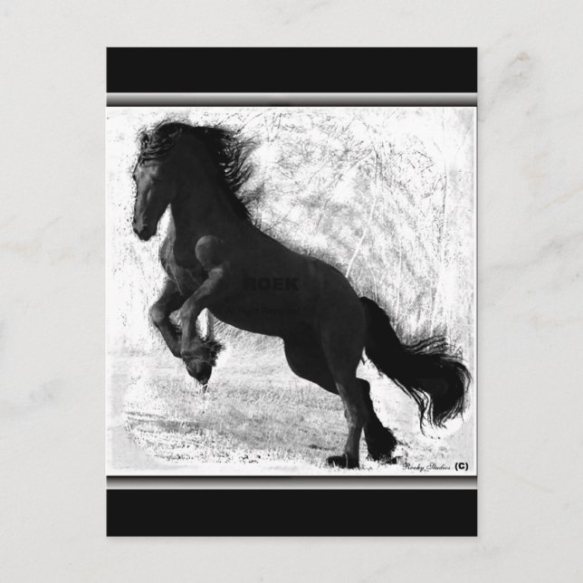 Carte Postale Friesian Power, personnalisable (Devant)
