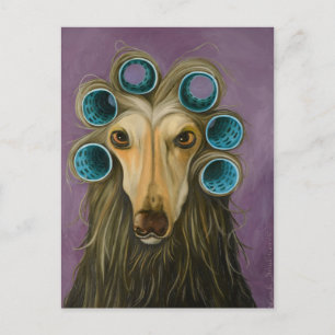 Carte Postale Frisé