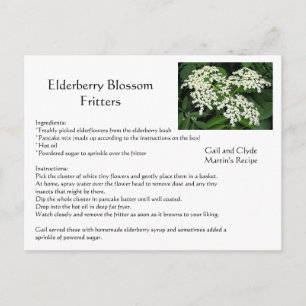Carte Postale Fritters Elderberry Blossom