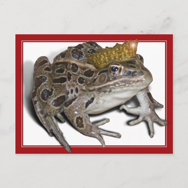 Carte Postale Frog Prince (Ajouter Votre Texte) (Devant)