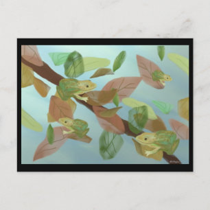 Carte Postale Frogs