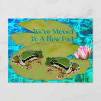 Frogs Humoristiques Lys Pad Nous Avons Déplacé Fai