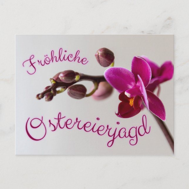 Carte Postale Frohe Ostern mit fröhlicher Ostéréierjagd! (Devant)