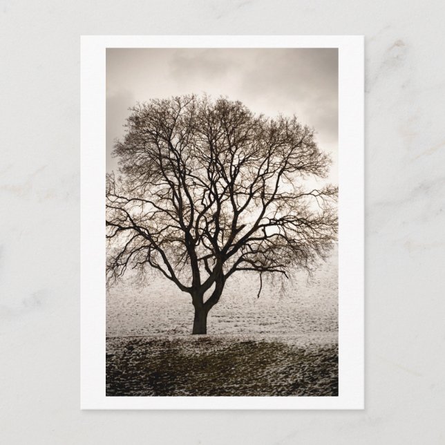 Carte Postale froid et charmant (Devant)