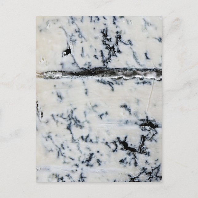 Carte Postale Fromage Gorgonzola (Devant)