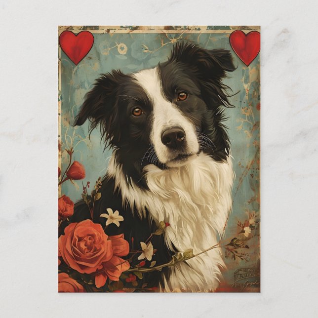 Carte Postale Frontière Collie Vintage Saint Valentin (Devant)