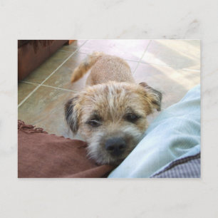 Carte Postale frontière terrier mendicité.png