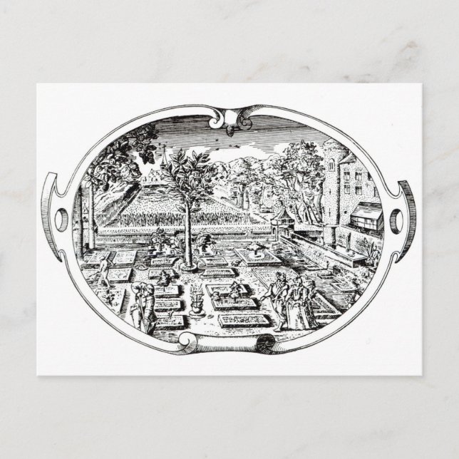 Carte Postale Frontispiece, de "The Herball", de John Gerard ( (Devant)