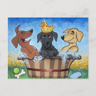 Carte Postale Frottez les laboratoires d'une copie 3 de copie