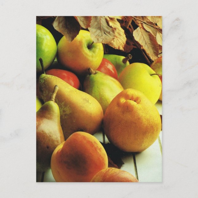 Carte Postale Fruit and vegetables, Apples and pears (Devant)