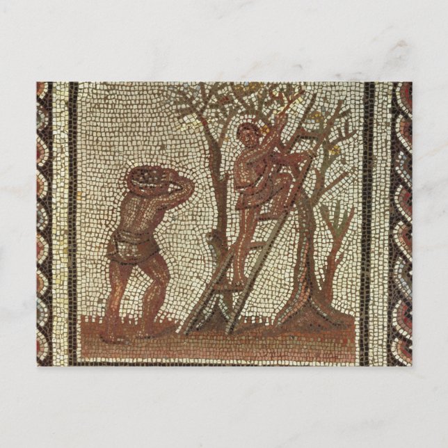 Carte Postale Fruit de cueillette, mosaïque romaine (Devant)