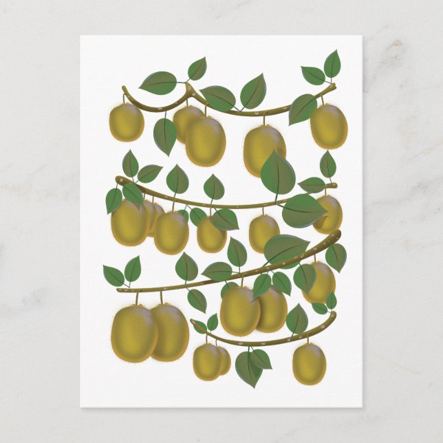 Carte Postale Fruit de kiwi (Devant)