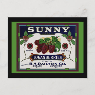 Carte Postale Fruit de Loganberry