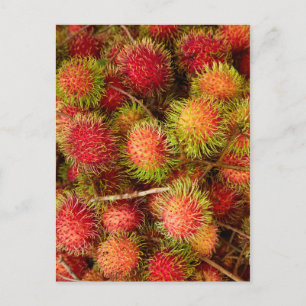Carte Postale Fruit de Rambutan au marché Can Duoc