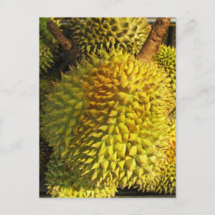 Carte Postale Fruit du durian