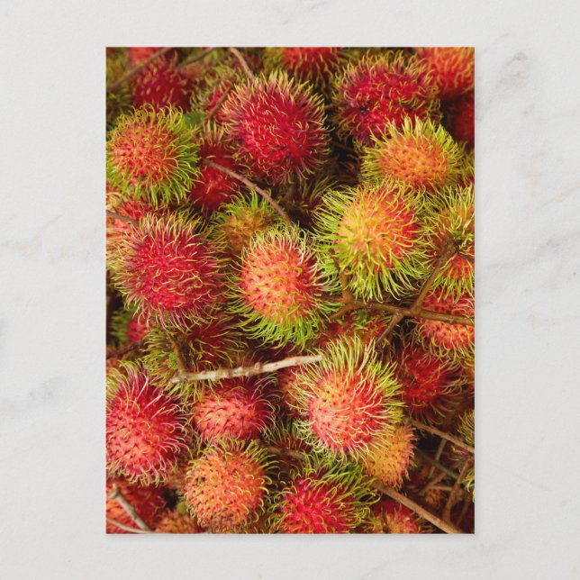 Carte Postale Fruit Rambutan au marché Can Duoc (Devant)
