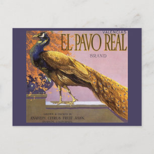 Carte Postale Fruit vintage Crate Étiquette Art El Pavo Peacock 