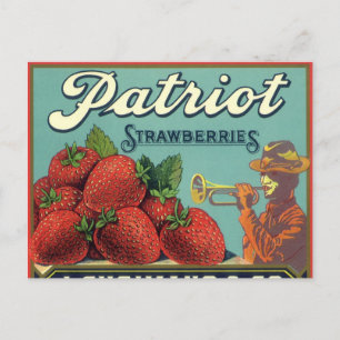 Carte Postale Fruit vintage Crate Étiquette Art Patriot Fraises