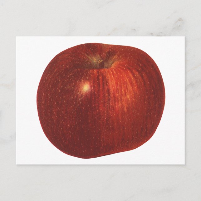 Carte Postale Fruit vintage, Pomme délicieuse Rouge bio (Devant)