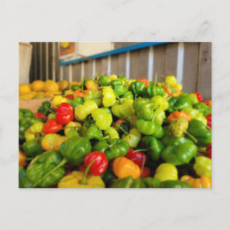 Carte Postale Fruitère Aji Dulce