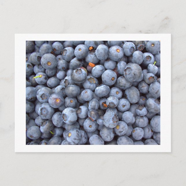 Carte Postale fruits aux bleuets, photo prise dans une ferme aux (Devant)