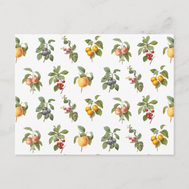 Carte Postale fruits botaniques vintages modernes (Devant)