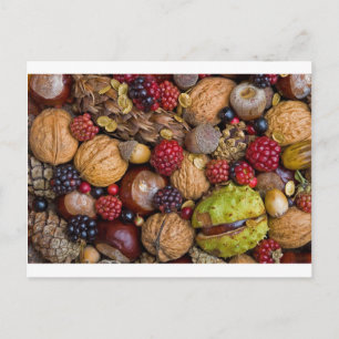 Carte Postale Fruits d'automne