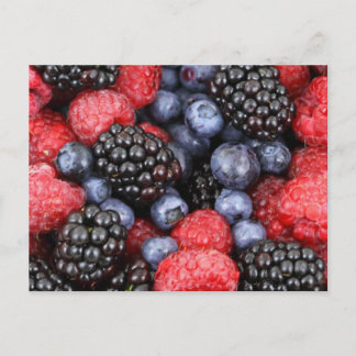 Carte postale Fruits de forêt