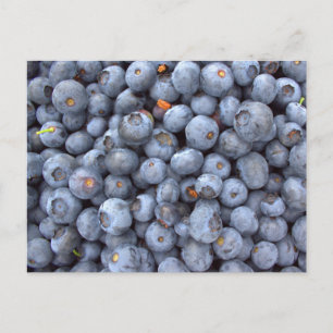 Carte Postale fruits de myrtille, photo prise dans une ferme de