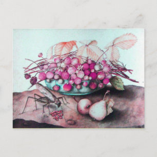 CARTE POSTALE FRUITS DE SAISON 3