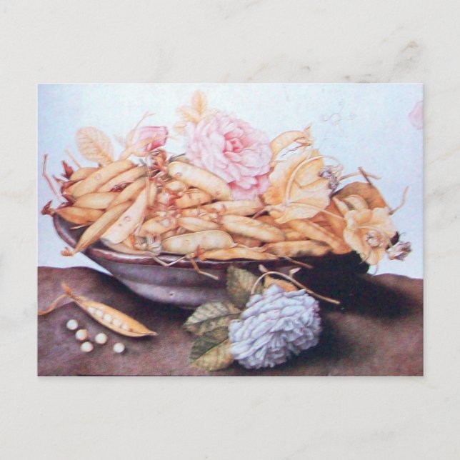 CARTE POSTALE FRUITS DE SAISON 6 - HARICOTS ET ROSE (Devant)