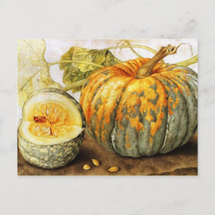 Carte Postale FRUITS DE SAISON / Halloween CITROUILLE, Thanksgiv