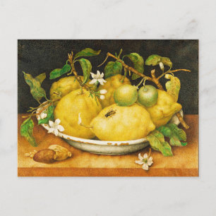 CARTE POSTALE FRUITS DE SAISON LÉMONS ET FLEURS BLANCHES