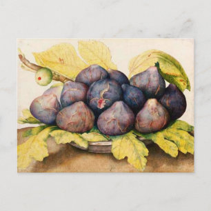 CARTE POSTALE FRUITS DE SAISON / PLAQUE AUX FIGUES ET FEUILLES V