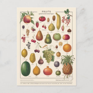 Carte Postale Fruits illustratifs