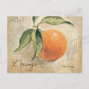 Carte Postale Fruits ronds et orange