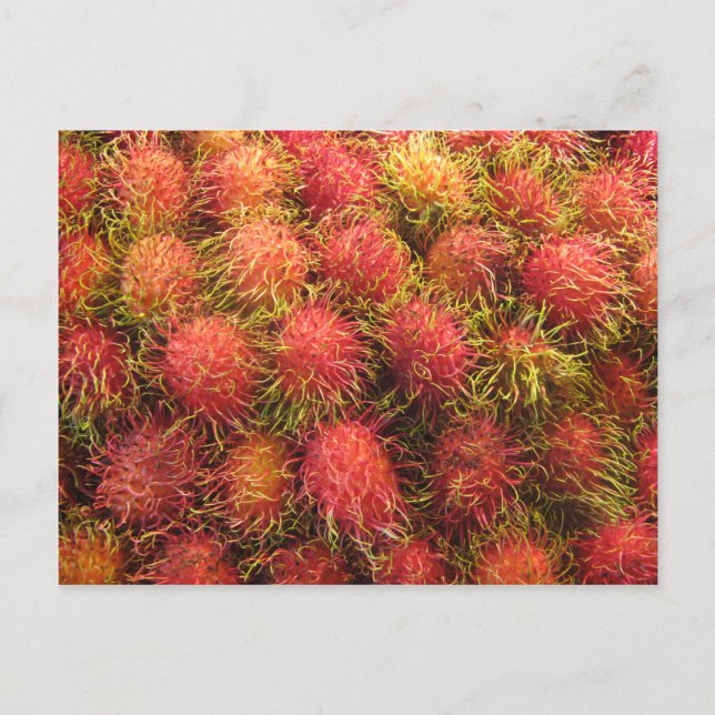 Carte Postale Fruits tropicaux Rambutan (Devant)