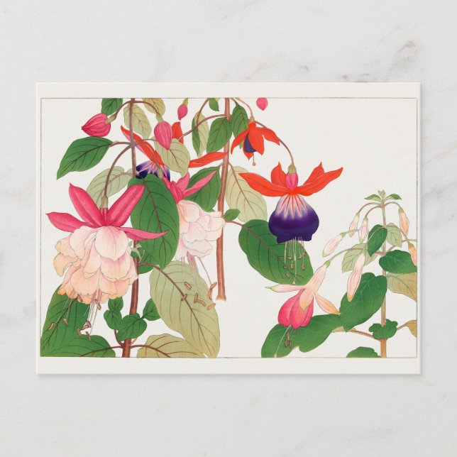 Carte Postale Fuchsia par Tanigami Konan (Devant)