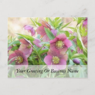 Carte Postale Full Bloom - Hellebores !
