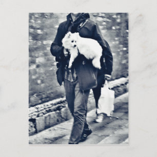 Carte Postale fullsizeoutput_c78 Poméranien noir et blanc