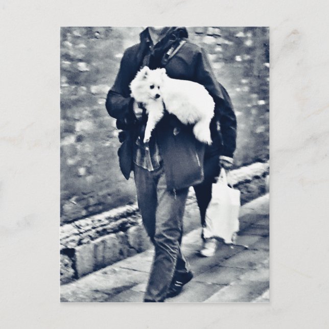 Carte Postale fullsizeoutput_c78 Poméranien noir et blanc (Devant)